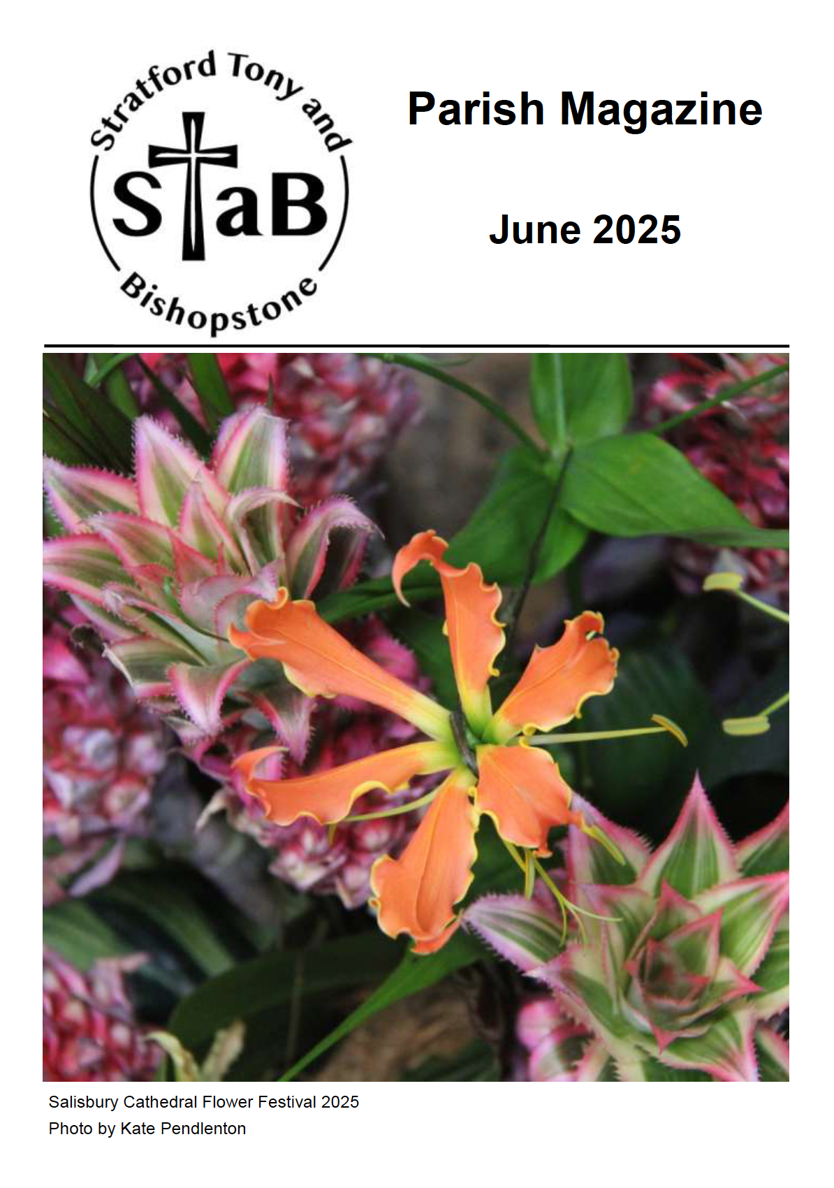 Cover of STaB March 2025